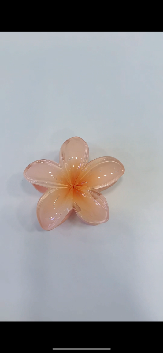 Κλάμερ Orange Flower